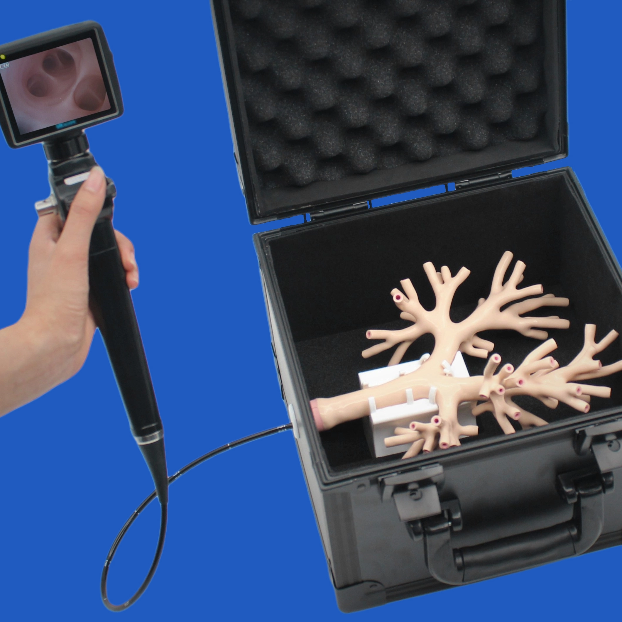 bronchoscopy trainer