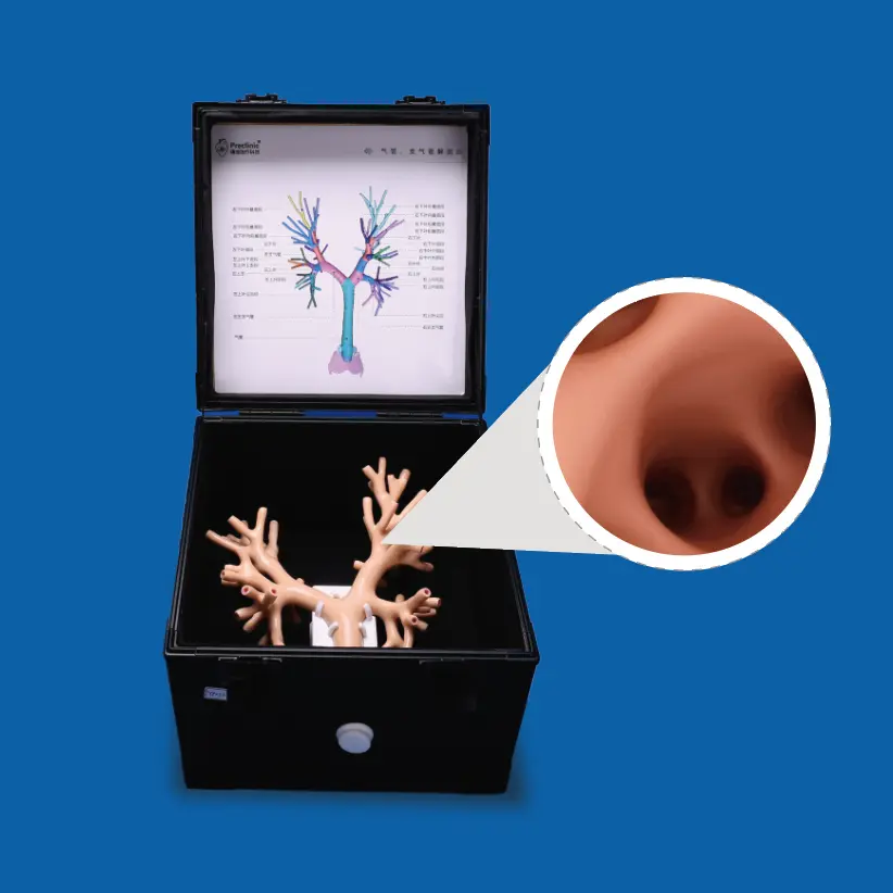 bronchoscopy training model