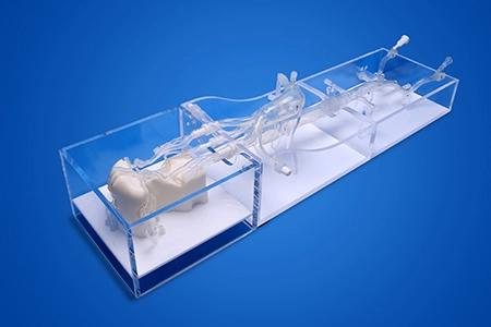 Why Should Your Institution Partner with High-Quality Surgical Simulator Manufacturer?