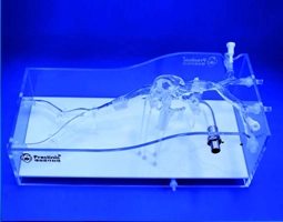 Cardiac Veins Simulation Model (Pacemaker Electrode Implantation)