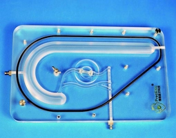 Planar Left Coronary Vessel Model (Aortic Approach)