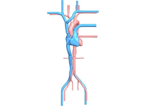 Atrial Septal Defect Vs Pfo