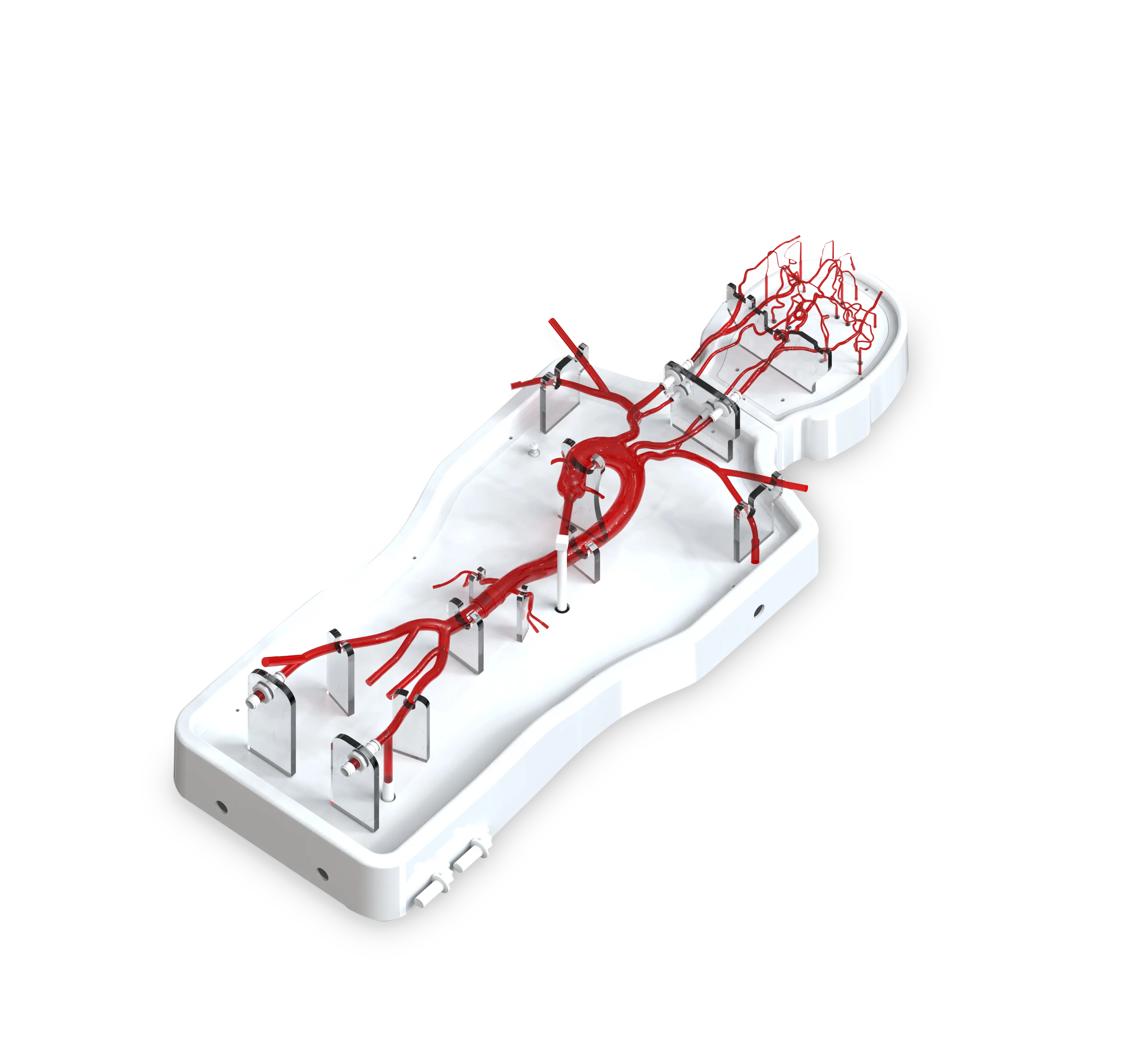Drawing of Neurovascular operation training model-type B