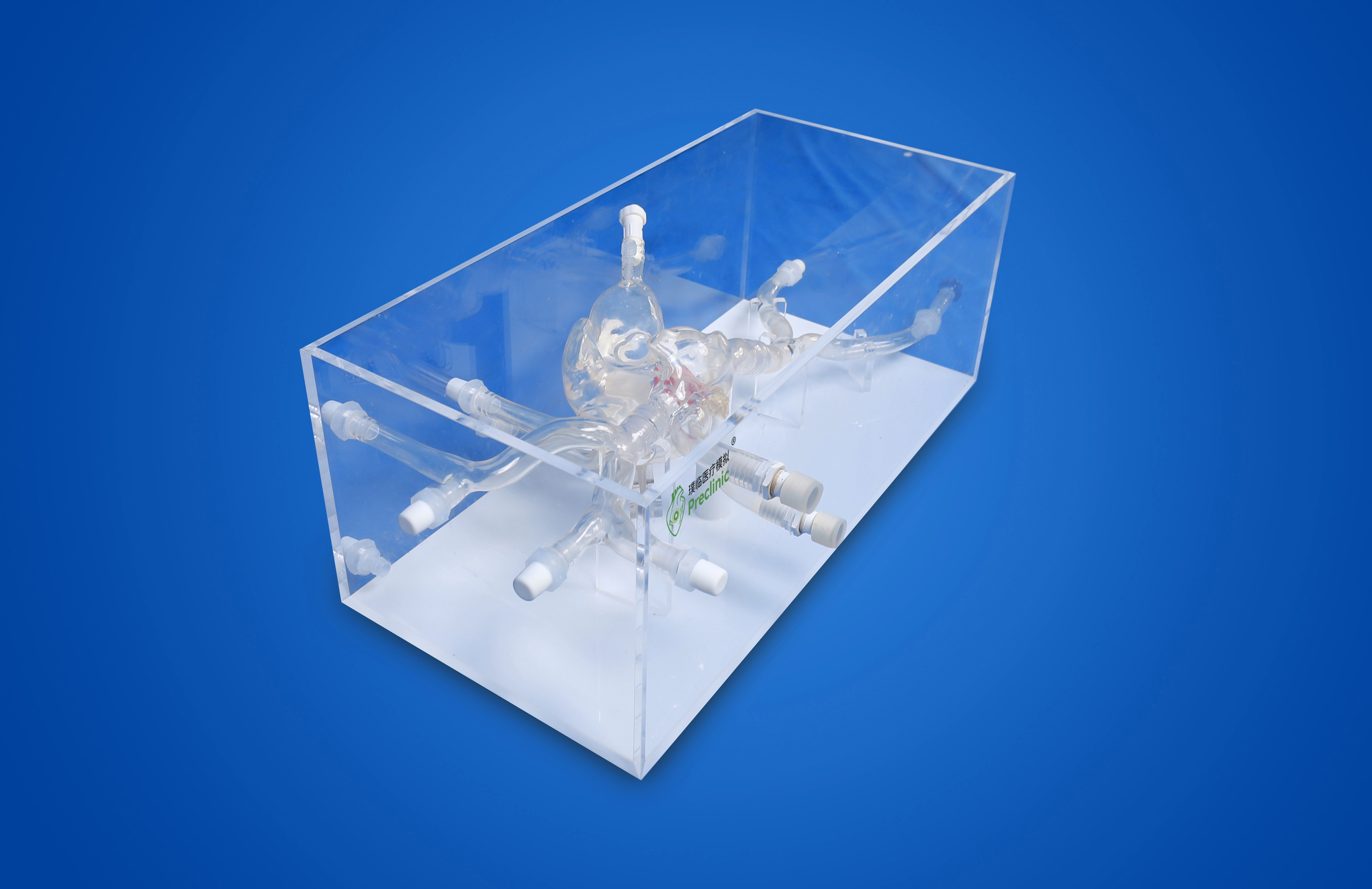 Atrial Septal Puncture Operation Training Model