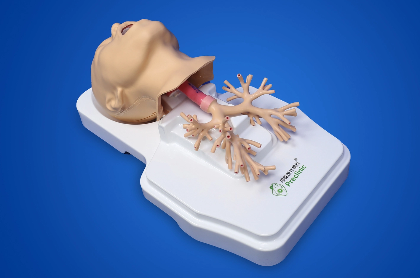 Respiratory Endoscope Training Model